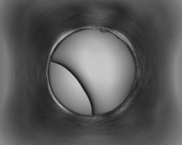 X0000086910855200704161007