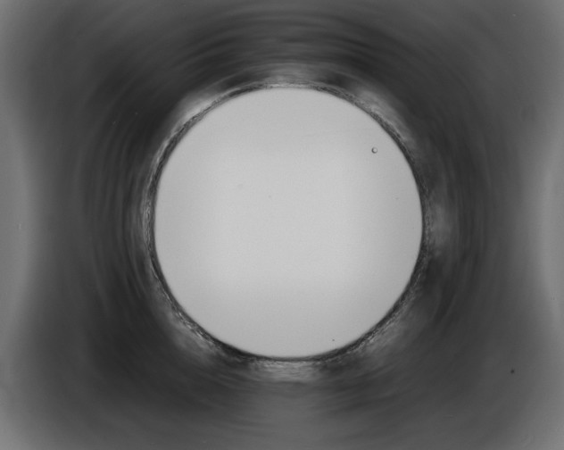 X0000086910856200704161007