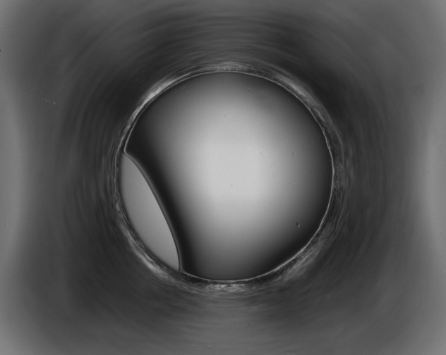 X0000086910858200704161007