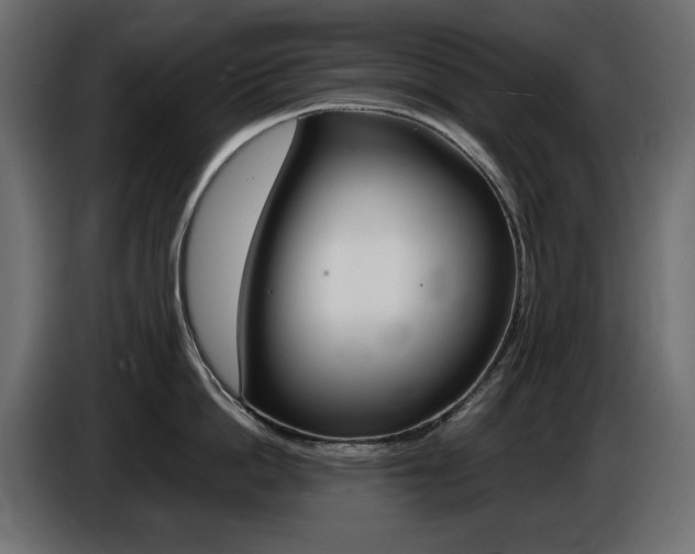X0000086910862200704161007