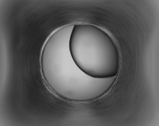 X0000086910864200704161008