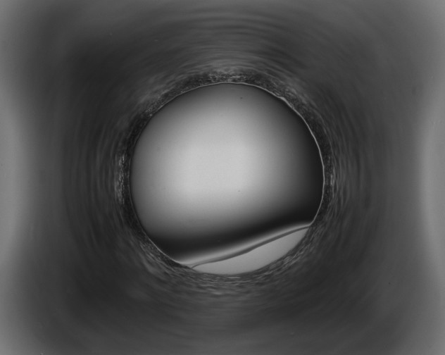 X0000086910868200704161007