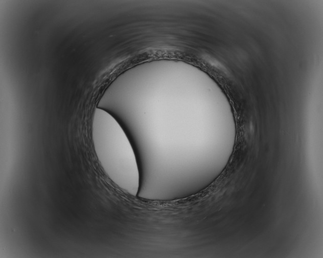 X0000086910870200704161007