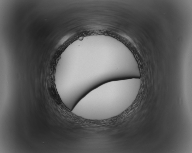 X0000086910871200704161007