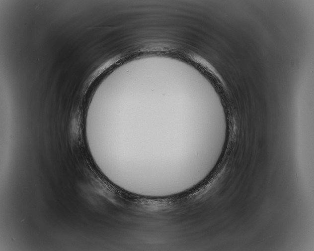 X0000086910874200704161007