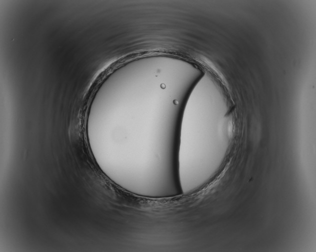 X0000086910875200704161007