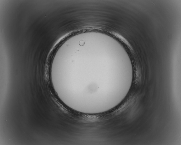 X0000086910878200704161007