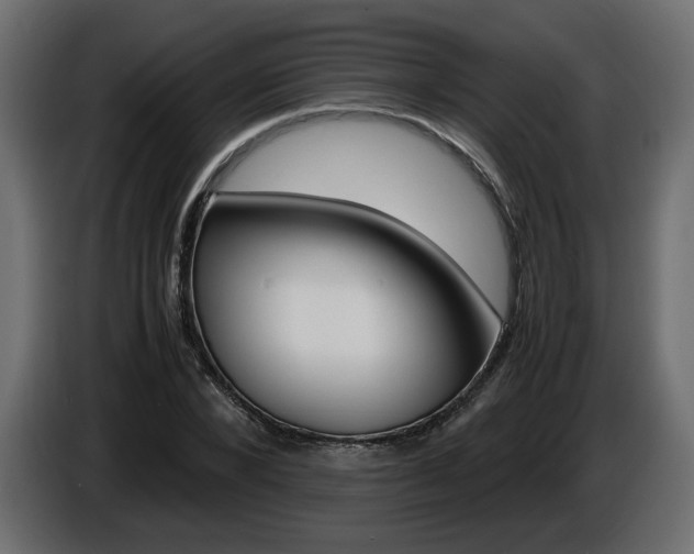 X0000086910880200704161007