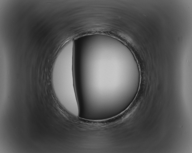 X0000086910881200704161007