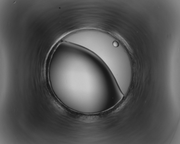 X0000086910884200704161007