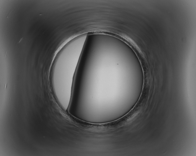X0000086910885200704161007