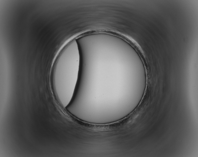 X0000086910887200704161006
