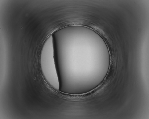 X0000086910889200704161006