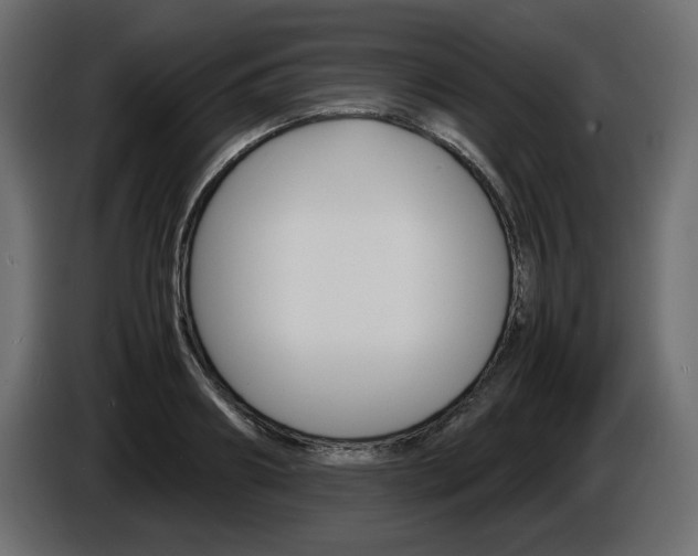 X0000086910890200704161006