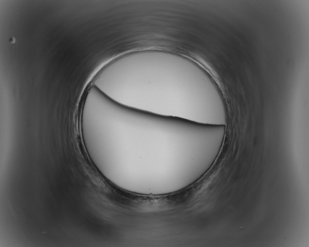 X0000086910891200704161006