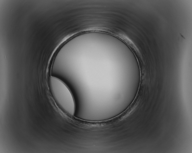 X0000086910892200704161006