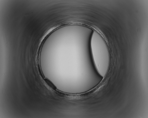 X0000086910893200704161006