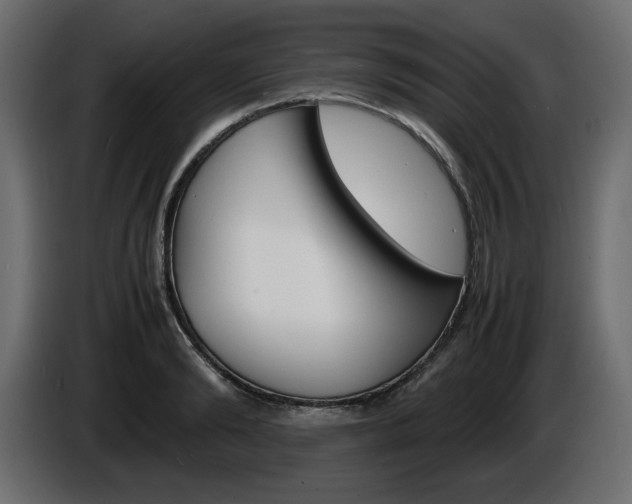X0000086910894200704161006