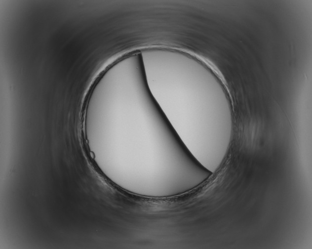 X0000086910895200704161006
