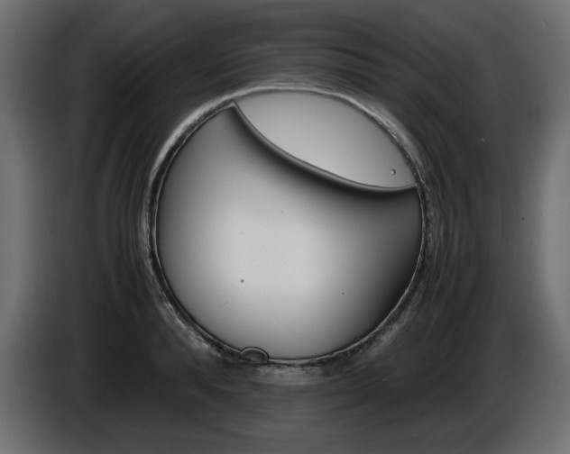 X0000086910896200704161006