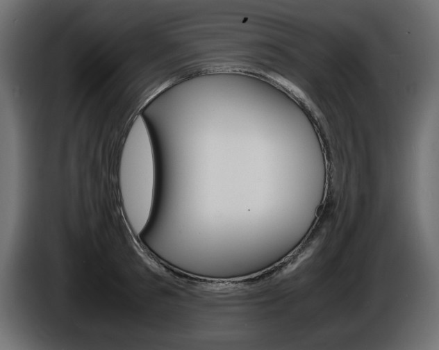 X0000086910897200704161006