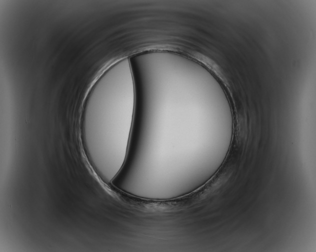 X0000086910898200704161006