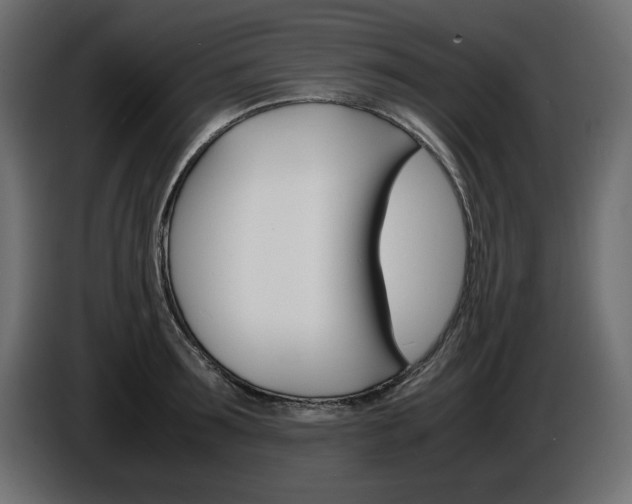 X0000086910899200704161006
