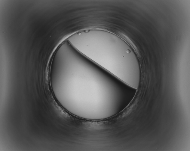 X0000086910900200704161006