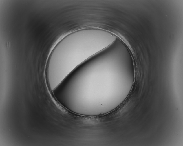 X0000086910901200704161006