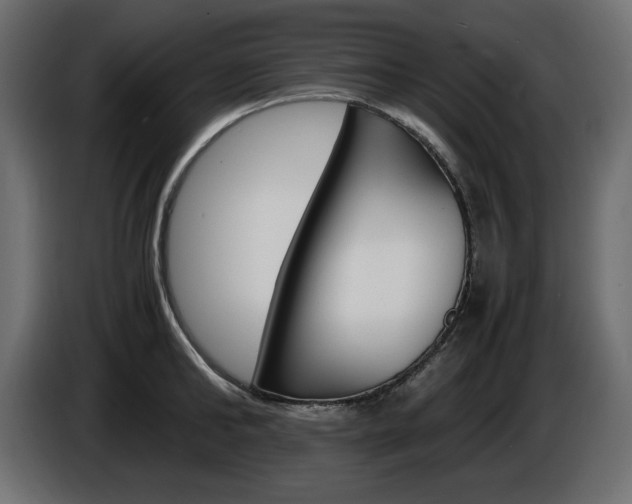 X0000086910902200704161006