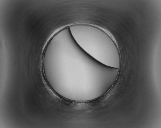 X0000086910903200704161006