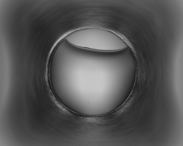 X0000086910904200704161006