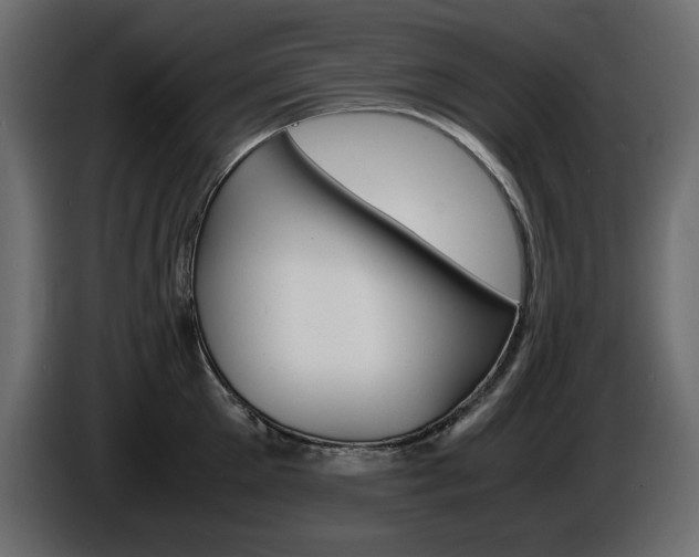 X0000086910905200704161006