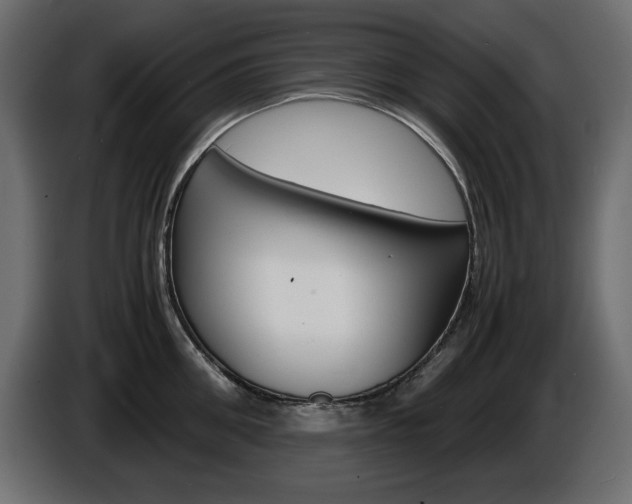 X0000086910906200704161006