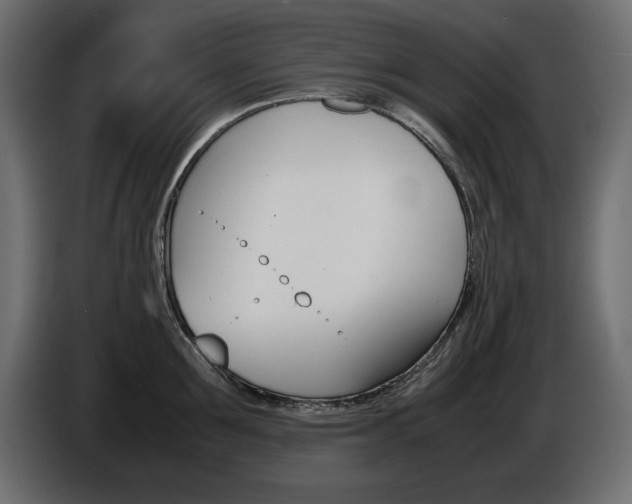 X0000086910907200704161006