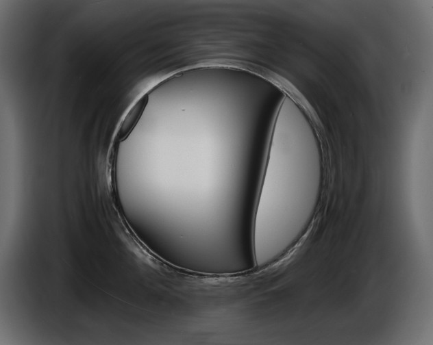 X0000086910908200704161006