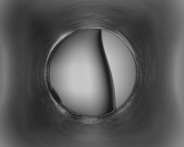 X0000086910909200704161006