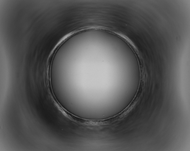 X0000086910910200704161006