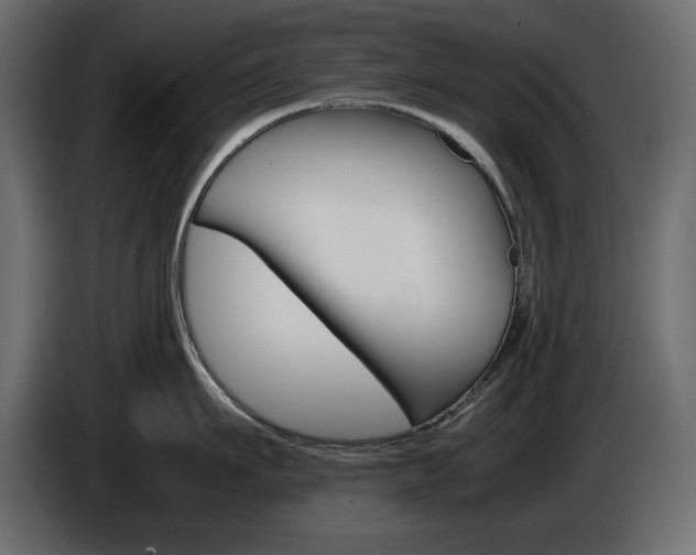 X0000086910911200704161006