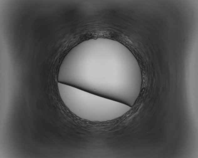 X0000086910913200704161005