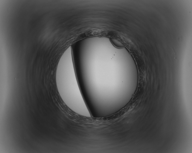 X0000086910914200704161005