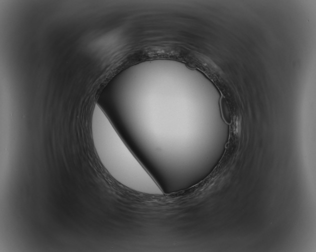 X0000086910915200704161005