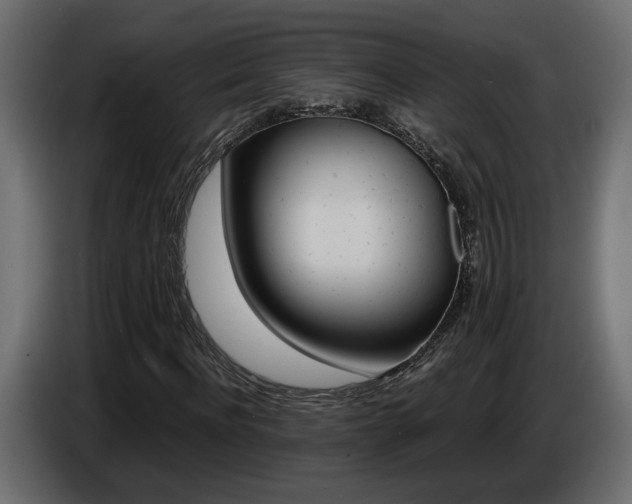 X0000086910916200704161005