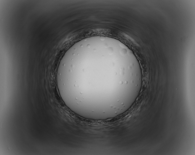 X0000086910917200704161005