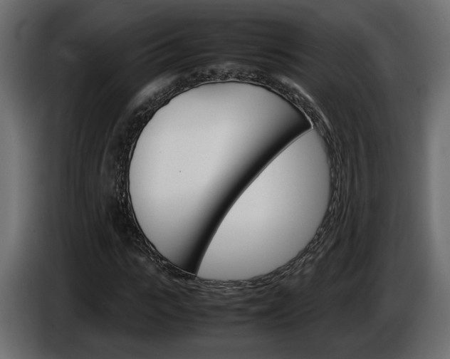 X0000086910919200704161006