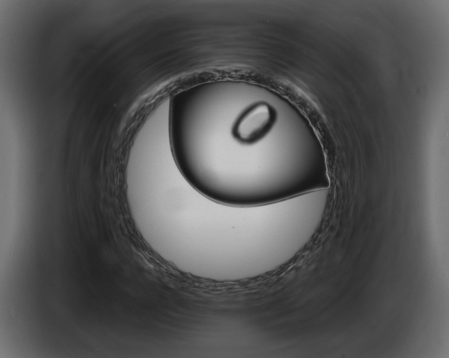 X0000086910920200704161006