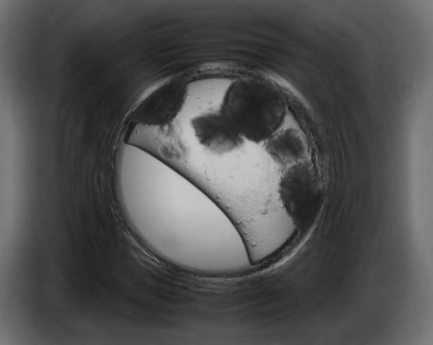 X0000086910921200704161006