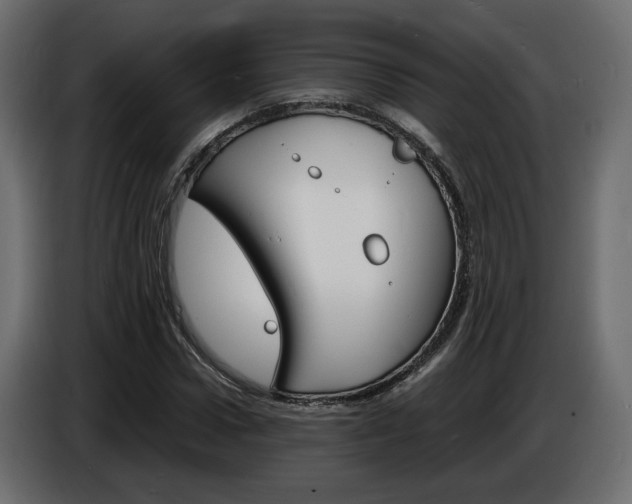 X0000086910922200704161006