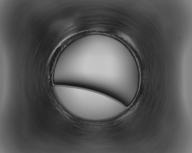 X0000086910923200704161006