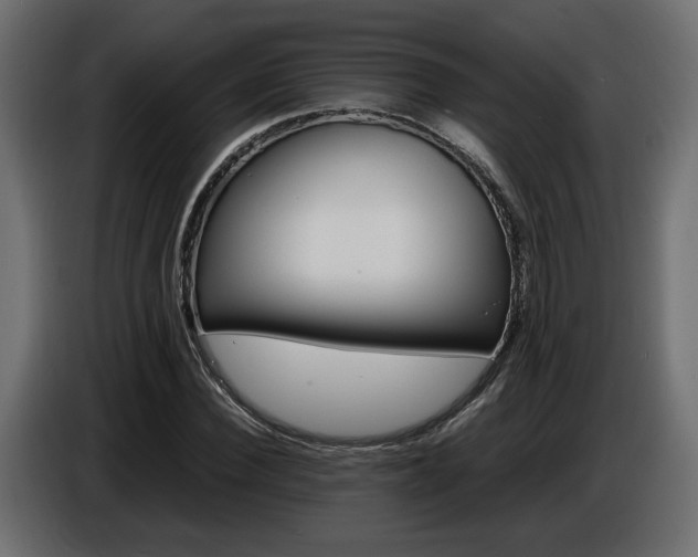 X0000086910924200704161006